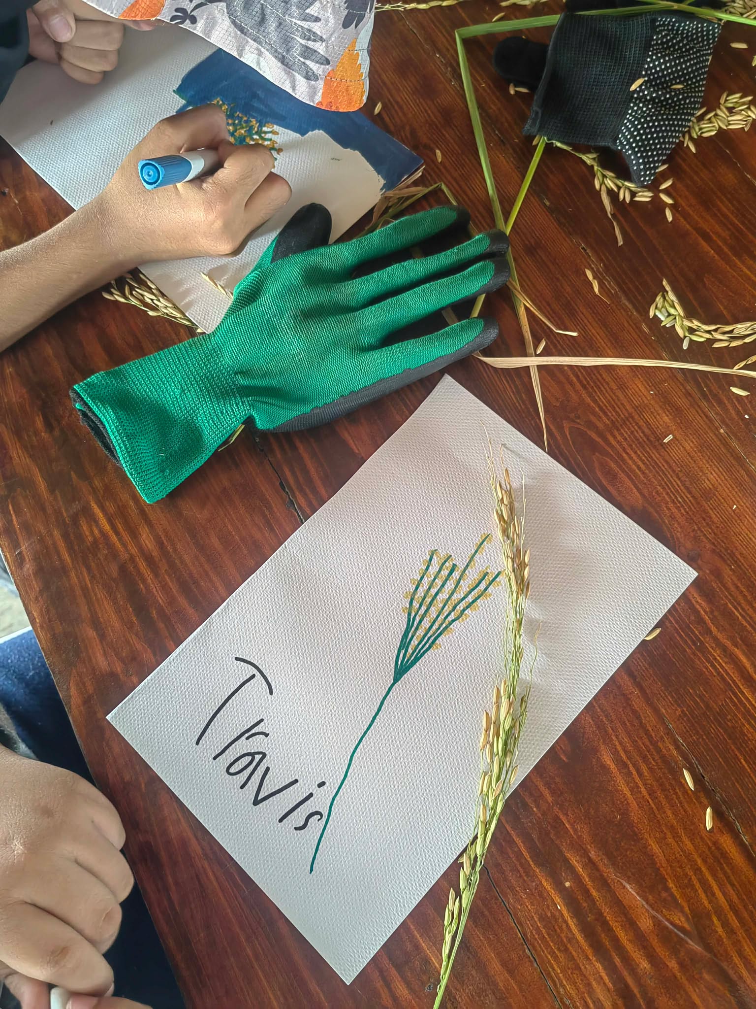 09.02.2026 From Seed to Serving: A Three-Day Rice Unit Study 18 789593630 2194562988109059 5285489881536926947 n