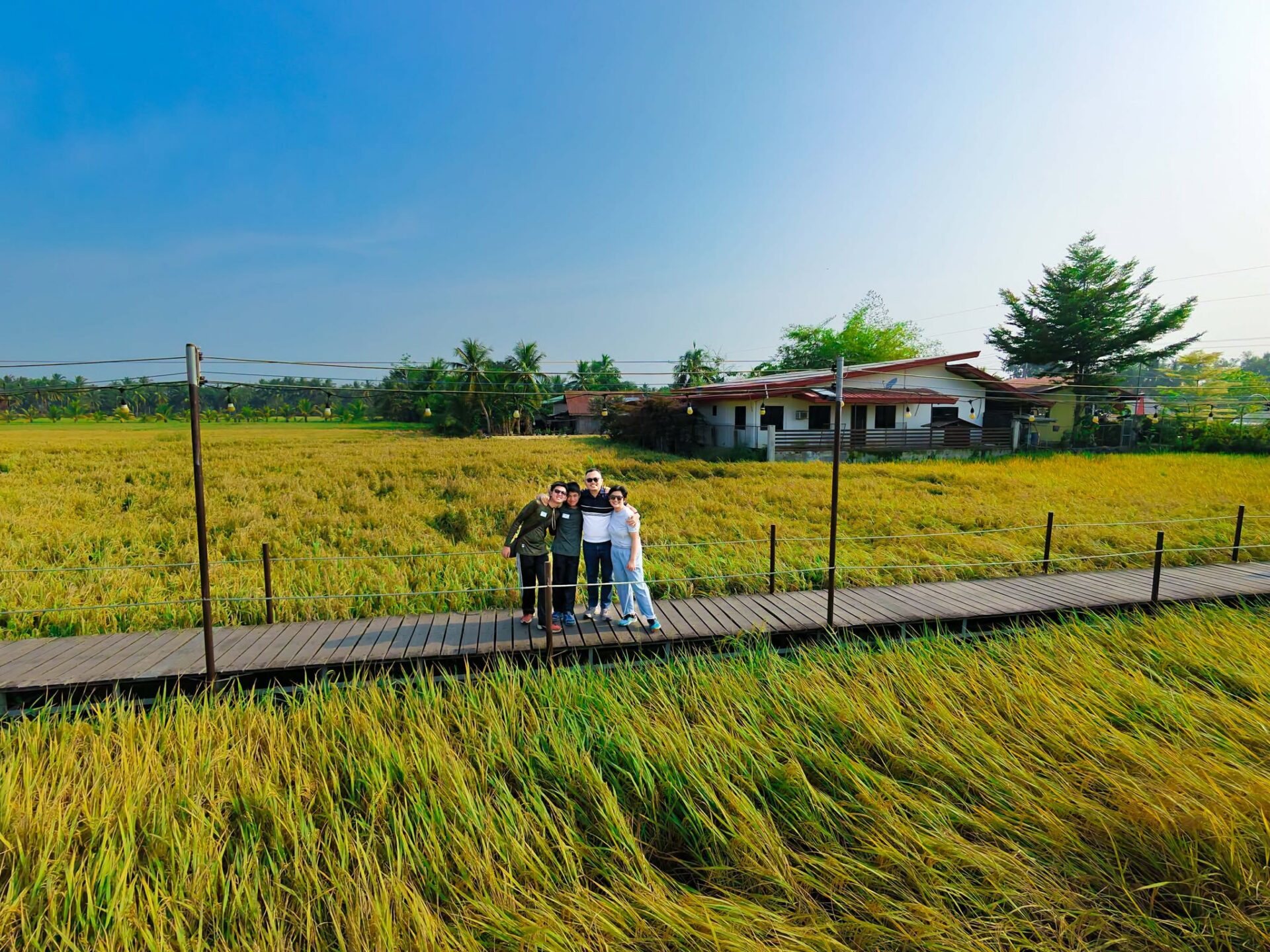 09.02.2026 From Seed to Serving: A Three-Day Rice Unit Study 16 789924066 1419209590270062 2041348512033299655 n