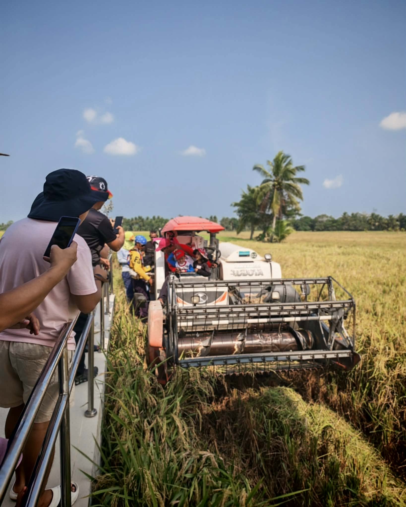 09.02.2026 From Seed to Serving: A Three-Day Rice Unit Study 12 790475822 1074364642222172 3083400737207719468 n