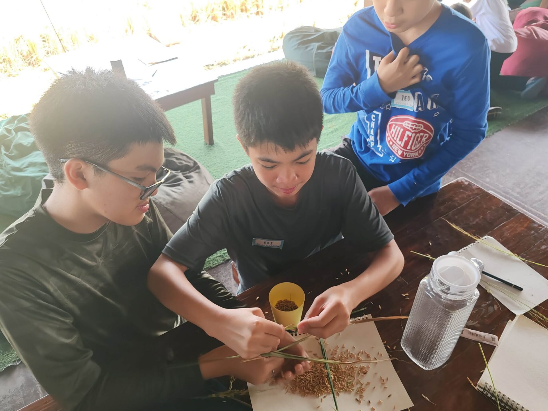 09.02.2026 From Seed to Serving: A Three-Day Rice Unit Study 9 791325463 2088593888416609 1290388737289552685 n